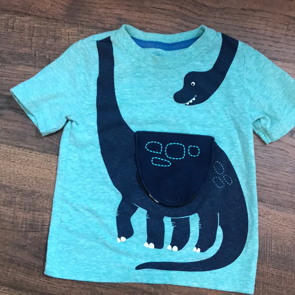 Boys Dino tshirt
